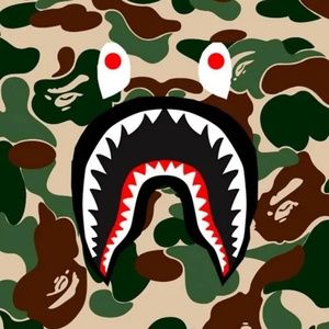 Meet your Posher, Sebastian